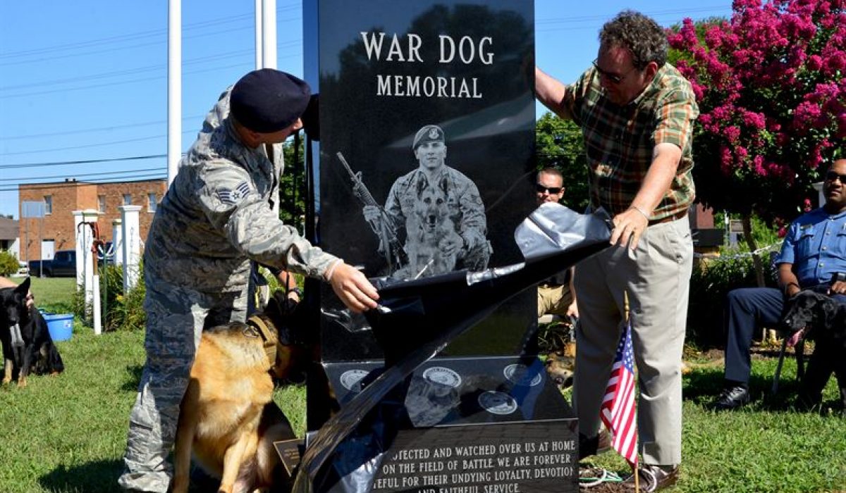 issue the life of altruistic dogs their memories of veterans