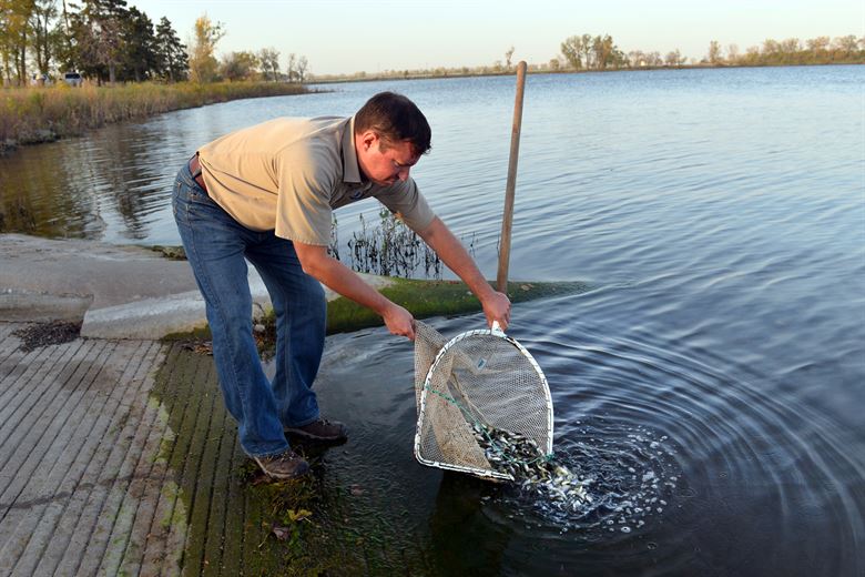 Can Fish Communicate With Humans